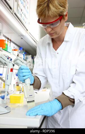 Laboratory, a scientist is transferring protein samples with a multichannel pipette onto a crystallisation plate, Centre for Stock Photo