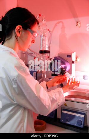 Laboratory, scientist working on a rotary evaporator for peptide synthesis, Centre for Medical Biotechnology University Stock Photo