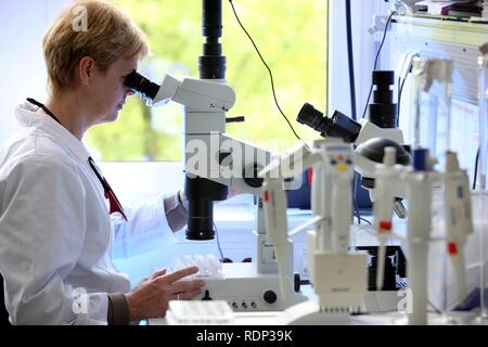 Laboratory, a scientist is examining the crystals for size that were created on a crystallisation plate under a microscope, Stock Photo