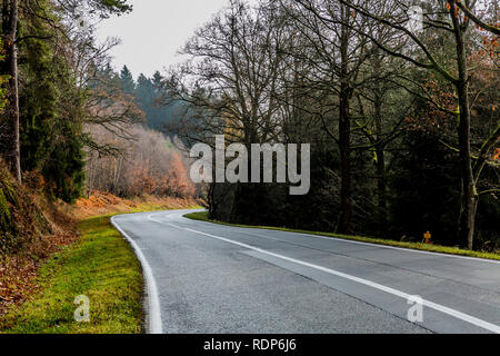 beautiful image of a empty forest road with a curve between trees on a cloudy day in the Belgian Ardennes
