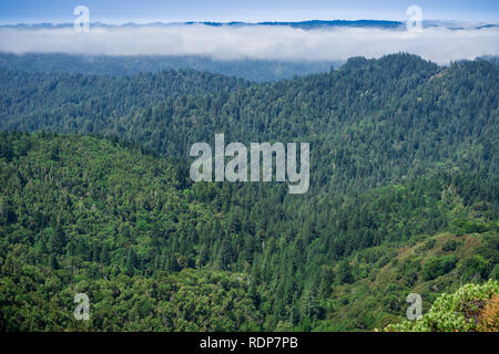 Fog lingering over the hills and valleys of Santa Cruz mountains, San Francisco bay area, California Stock Photo