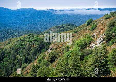 Landscape in Santa Cruz mountains with fog lingering over the valleys, San Francisco bay area, California Stock Photo