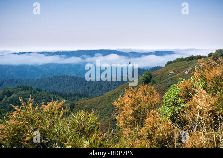 Fog lingering over the hills and valleys of Santa Cruz mountains, San Francisco bay area, California Stock Photo