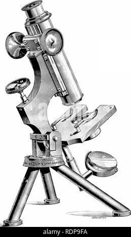 . Modern microscopy; a handbook for beginners and students, combining. Microscopy. Fig. 1.—A Typical Student's Microscope. The ' Fram' Microscope. By W. Watson and Sons.. Please note that these images are extracted from scanned page images that may have been digitally enhanced for readability - coloration and appearance of these illustrations may not perfectly resemble the original work.. Cross, M. I; Cole, Martin J. Chicago, W. T. Keener &amp; Co. Stock Photo