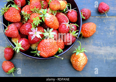 Still life with lot of ripe appetizing strawberries collected in the round bowl on vintage wooden table as background top view close up