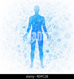 Biomes of the human body, illustration. Stock Photo