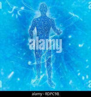 Biomes of the human body, illustration. Stock Photo