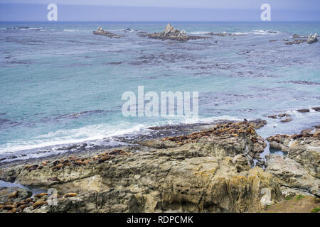 The Pacific ocean coast with sea lions resting on rocks, Cape Arago State Park, Coos Bay, Oregon Stock Photo