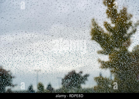 Drops of rain on the windshield; cloudy sky and autumn colored trees in the background Stock Photo