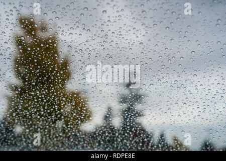 Drops of rain on the windshield; cloudy sky and autumn colored trees in the background Stock Photo
