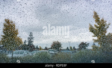 Drops of rain on the windshield; cloudy sky and autumn colored trees in the background Stock Photo