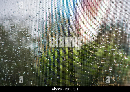 Raindrops on a mosquito net on a rainy day; green trees in the background; California Stock Photo