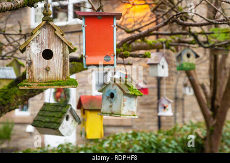 A large collection of wooden bird boxes hanging from a tree. Stock Photo