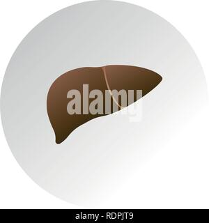 liver unhealthy, human internal organ image, cirrhosis of the liver vector icon Stock Vector