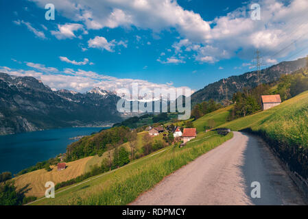 Spring landscape with country road toward a village, near Walensee lake and the Alps mountains, under blue sky, in St. Gallon Canton, Switzerland. Stock Photo