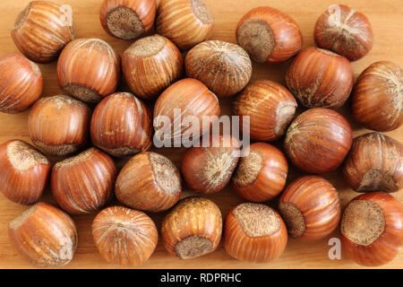 Hazelnuts on a wooden background Stock Photo