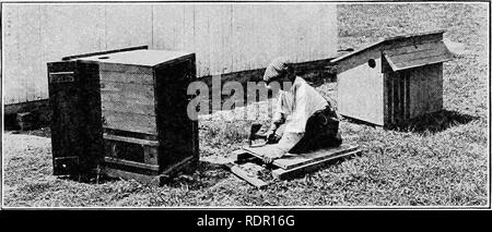 hole in the center of mesh wire fence Stock Photo - Alamy