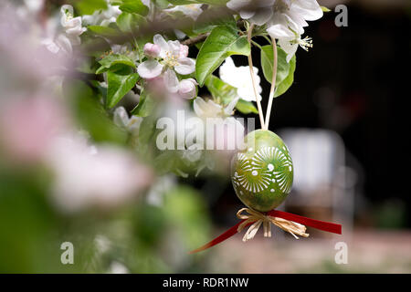 Easter egss hanging on the twig of apple tree in the garden Stock Photo