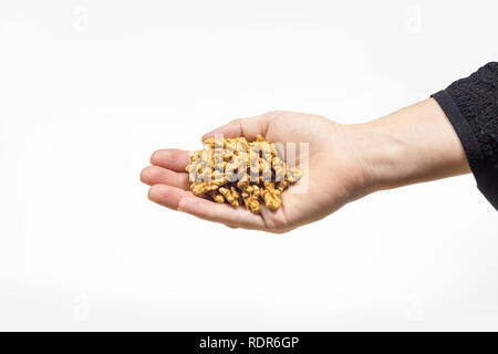 Hand holding bunch of walnuts in isolated white background. This is the recommended portion to eat everyday Stock Photo
