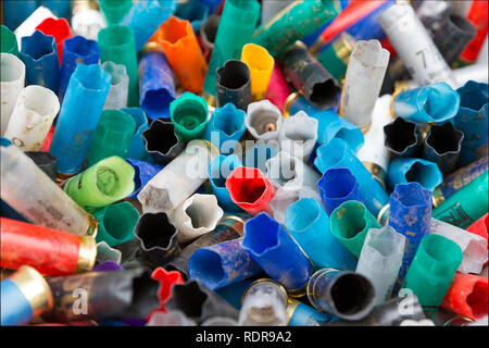 Empty/fired plastic 12-bore shotgun cartridges that have been collected for waste disposal at a clay pigeon shooting ground. England UK GB Stock Photo