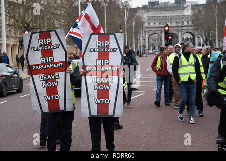 Westminster, London, UK. 19th January 2019. The Yellow vests protesters stop traffic as they walk through central London from Trafalgar Square to Buckingham Palace and stopping outside the French embassy in Knightsbridge, Credit: Matthew Chattle/Alamy Live News Stock Photo