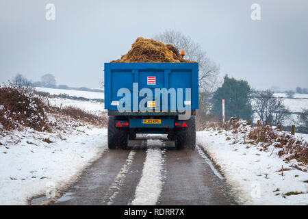 Upper Holloway, Derbyshire, U.K. 19th January 2019. A farmer delivers winter feed to cattle following overnight snow in the Derbyshire Dales.  Credit: Mark Richardson/Alamy Live News Stock Photo