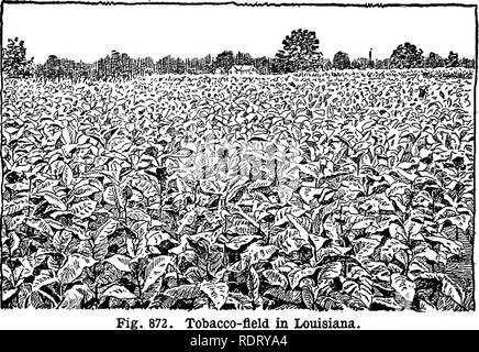 . Cyclopedia of farm crops, a popular survey of crops and crop 