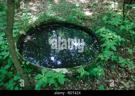 Ein alter Brunnen, eingegrabenes Fass mit Wasser gefüllt im Wald Stock Photo