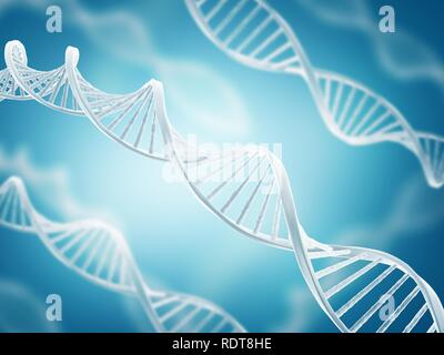 DNA structure Stock Photo