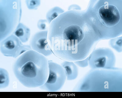 Cells division Stock Photo