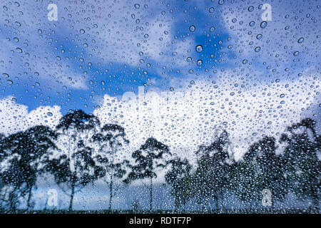 The clouds are breaking and the sun is coming out after a storm; Drops of rain on the window; blurred trees in the background; Stock Photo