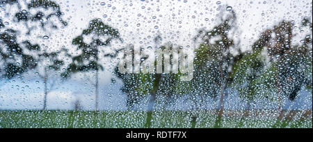 Drops of rain on the window; blurred trees in the background; Stock Photo