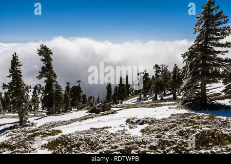 Beautiful landscape on Mount San Antonio (Mt Baldy), Los Angeles county, California Stock Photo