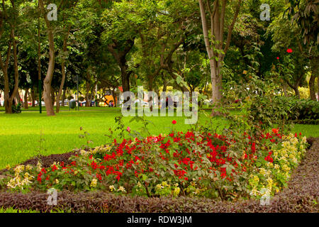 Green park ath the middle of Lima in Peru Stock Photo