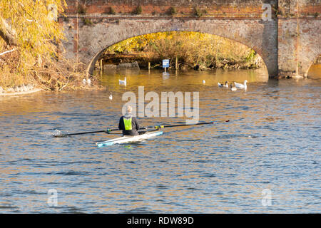 man sculls in brilliant sunlight in fron to arch bridge during autumn Stock Photo