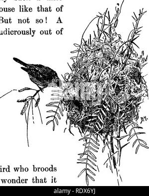 Birds Of California An Introduction To More Than Three Hundred Common Birds Of The State And Adjacent Islands With A Supplementary List Of Rare Migrants Accidental Visitants And Hypothetical Subspecies