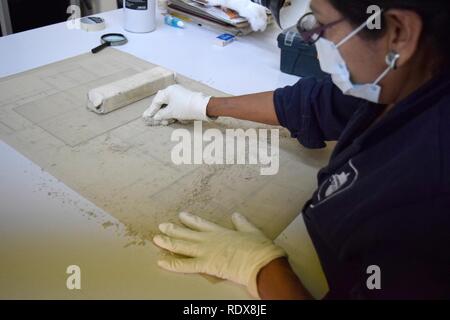 Archivo Histórico de la CDMX DSC1237 (35293622585). Stock Photo