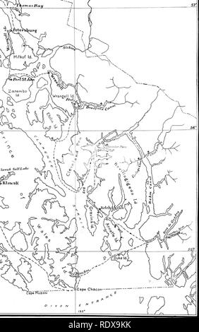 . [Collected reprints, 1911-1931. Ornithology; Mammals. D / X O N. Please note that these images are extracted from scanned page images that may have been digitally enhanced for readability - coloration and appearance of these illustrations may not perfectly resemble the original work.. Swarth, Harry Schelwald, 1878-. s. l. , s. n. Stock Photo