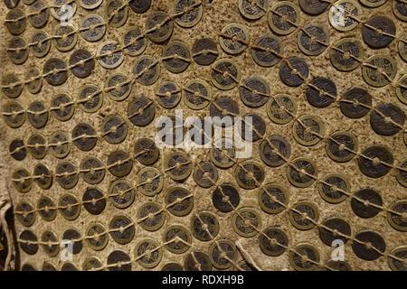 Armor with coins, Tlingit, detail, collected in Alaska in mid 1800s, hide, Chinese coins from 1644-1796 - Native American collection - Peabody Stock Photo