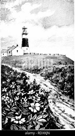 . Familiar features of the roadside; the flowers, shrubs, birds, and insects. Natural history. SANKATY HEAD LIGHT, NANTUCKET, MASS.. Please note that these images are extracted from scanned page images that may have been digitally enhanced for readability - coloration and appearance of these illustrations may not perfectly resemble the original work.. Mathews, F. Schuyler (Ferdinand Schuyler), 1854-1938. New York, D. Appleton and Company