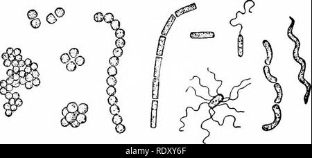 . Principles of modern biology. Biology. in plants are turgor movements ...