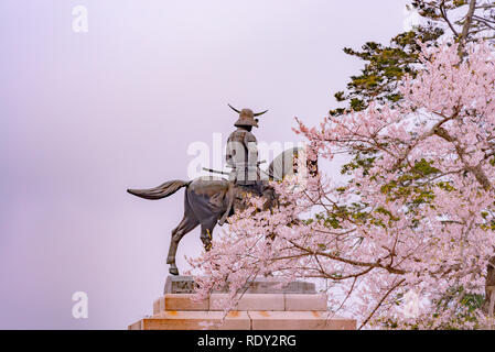 A statue of Masamune Date on horseback entering Sendai Castle in full bloom cherry blossom, Aobayama Park, Sendai, Miyagi, Japan Stock Photo