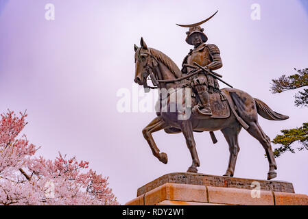 A statue of Masamune Date on horseback entering Sendai Castle in full bloom cherry blossom, Aobayama Park, Sendai, Miyagi, Japan Stock Photo