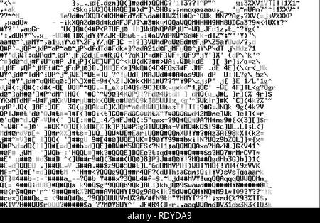 ASCII ART Zebra. Stock Photo