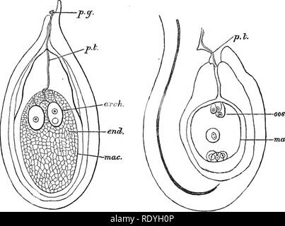 Seed germination is a process by which a seed embryo develops into a ...