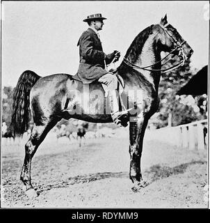 American western saddle on saddle rack Stock Photo - Alamy