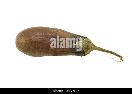 eggplant rotten isolated on white background Stock Photo