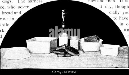 . Our domestic animals, their habits, intelligence and usefulness; tr. from the French of Gos. De Voogt, by Katharine P. Wormeley;. Domestic animals. A(iRF,EAl-iLE PKOin-:X.l)K FOU THE DOG those who feed them. IX. Care and Food It is very dif^cult to say what is the best food to give to dogs. The harness dogs, for instance, who nexer get anything but bread and potatoes, continue in good health whil doing hard work Some are fed solely on biscuit made of flour mixed with a certain quan- tity of minced meat, fish, or. Articles used for the Feeding of Dogs with the utmiist care. Many brands of ad Stock Photo