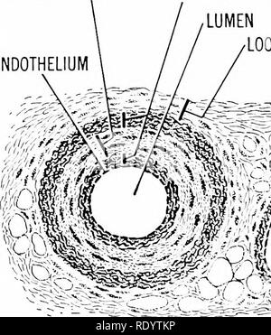 . Principles of modern biology. Biology. 2-Z F-A Fig. 17-2. Showing the ...