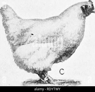 . Genetics in relation to agriculture. Livestock; Heredity; Variation (Biology); Plant breeding. . Please note that these images are extracted from scanned page images that may have been digitally enhanced for readability - coloration and appearance of these illustrations may not perfectly resemble the original work.. Babcock, E. B. (Ernest Brown), b. 1877; Clausen, Roy Elwood, 1891-. New York, McGraw-Hill; [etc. , etc. ] Stock Photo